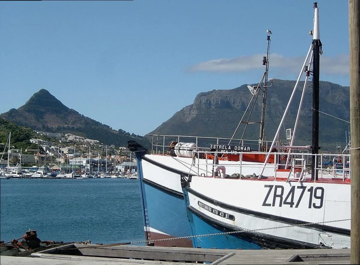 cape town, harbour, boats, harbor, sailboat, waterfront, water, travel, yacht, vessel, ship, nature, marina, nautical